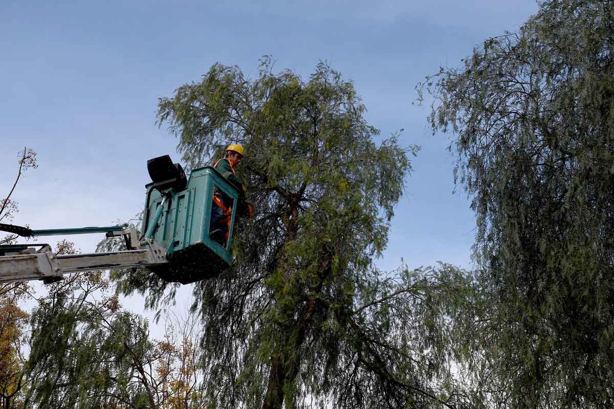 KUŞADASI’NDA AĞAÇ ATIKLARI YAKITA DÖNÜŞÜYOR