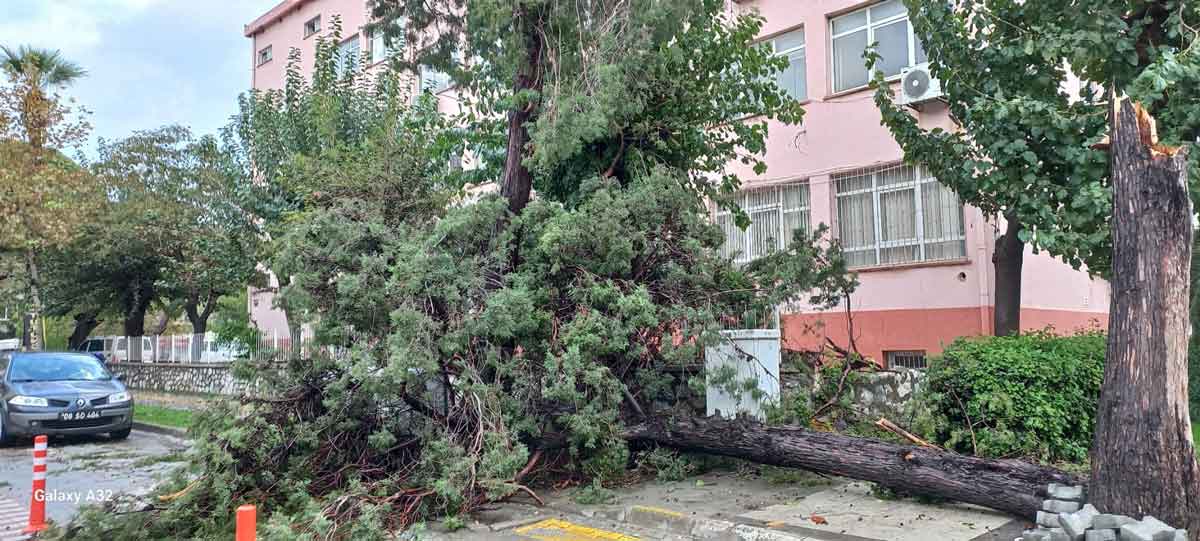 SÖKE'DE SAĞANAK YAĞIŞ VE KUVVETLİ RÜZGAR ETKİLİ OLDU
