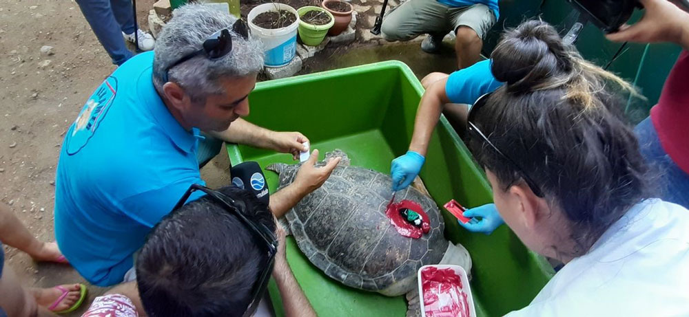 ‘GÜZEL İZMİR’ 4 GÜNDE 18 MİL YOL ALDI, İLK DURAĞI SAMOS OLDU
