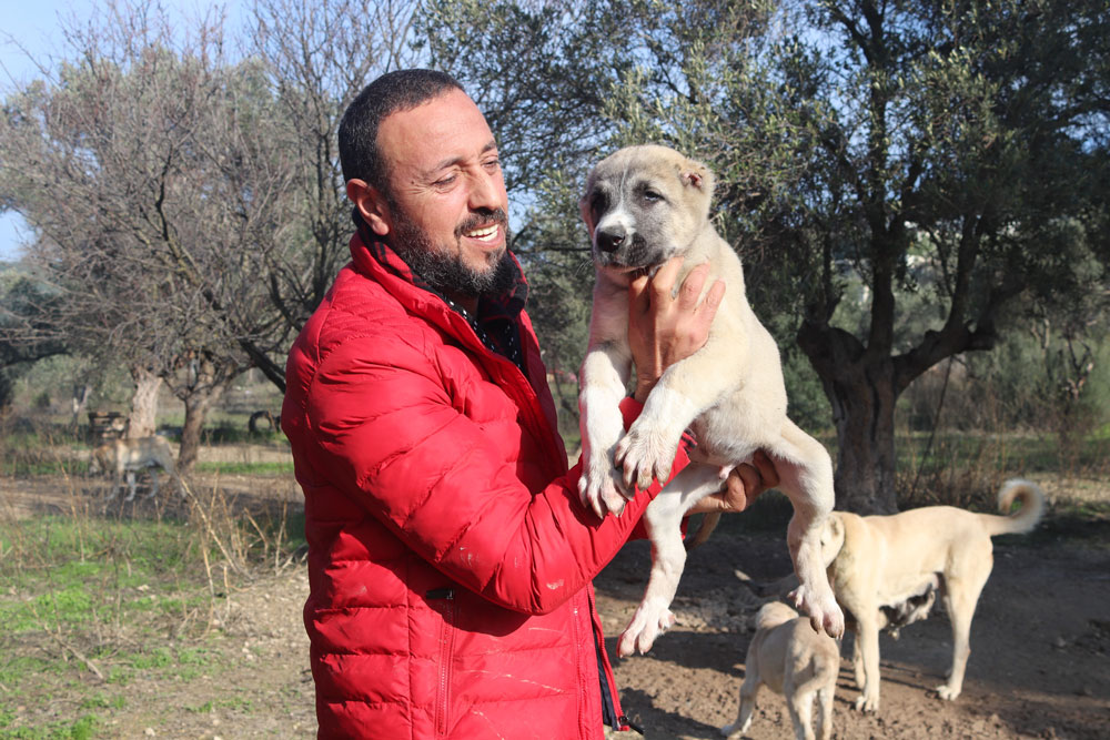 KÖPEK SALDIRILARI İÇİN UZMANI UYARDI: KAÇMAYIN, GÖZ TEMASI KURMAYIN