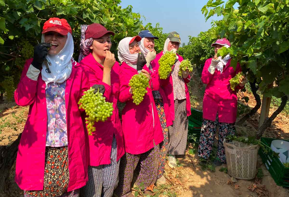 ALAŞEHİR GÜMRÜĞÜNDEN 230 BİN TON TARIMSAL GIDA İHRAÇ EDİLDİ
