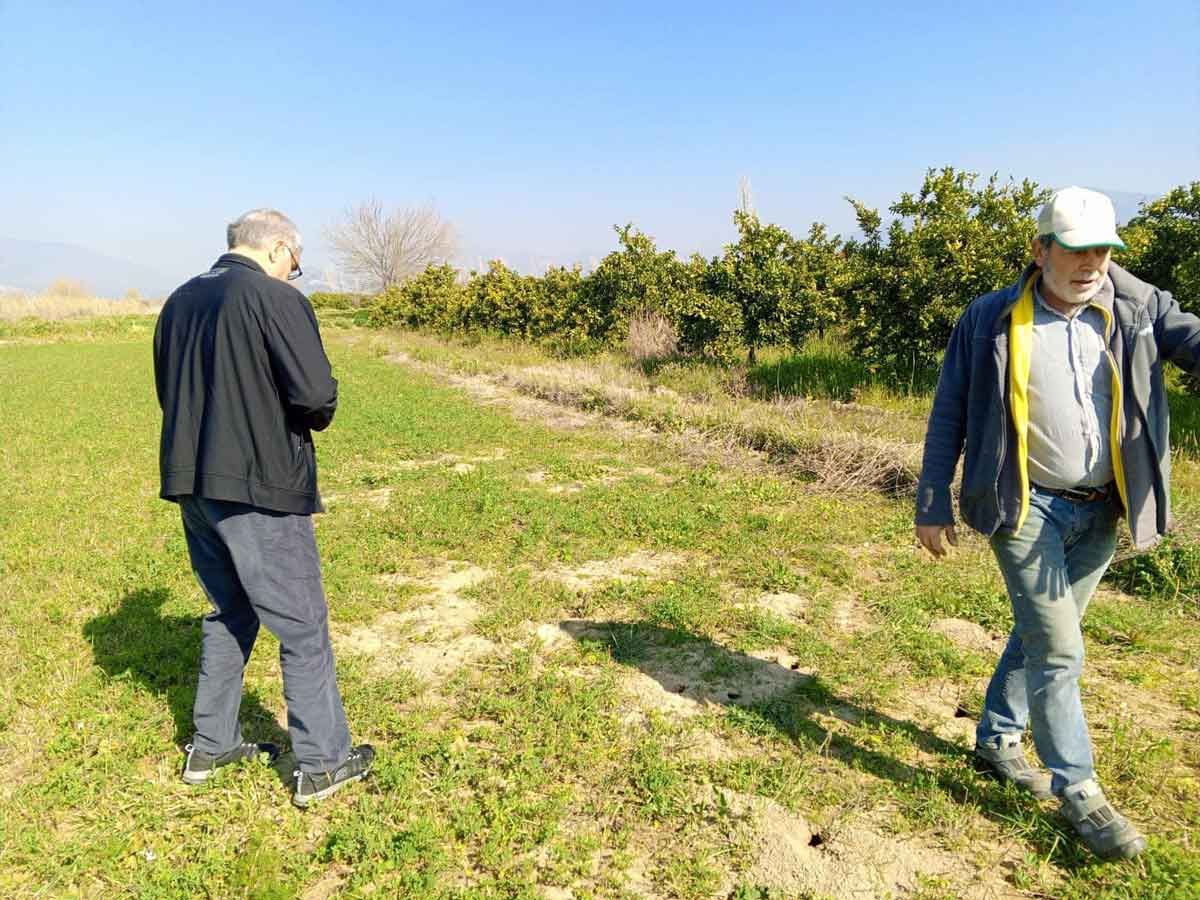 NAZİLLİ’DE TARLA FARESİ POPÜLASYONU ARTTI   