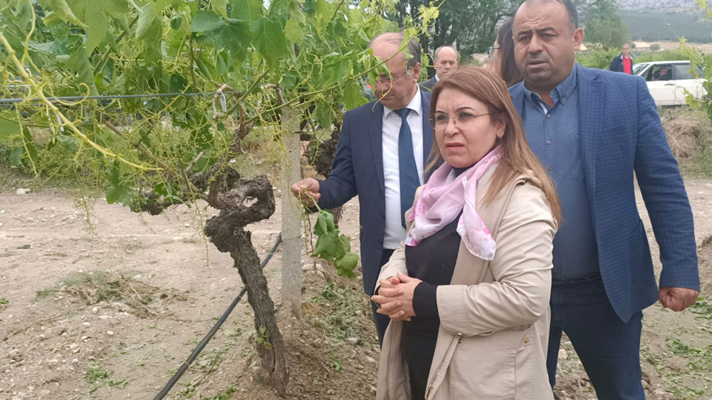 KARACA, DOLUNUN VURDUĞU BULDAN’DA