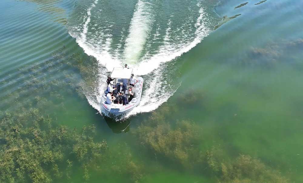 IŞIKLI’DA NİLÜFER ZAMANI