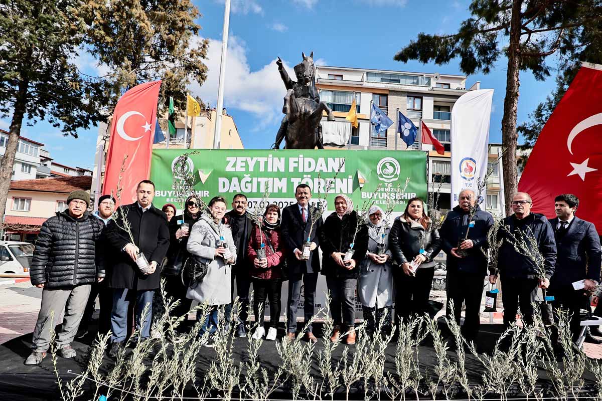 46 BİN ZEYTİN FİDANI  DAĞITIMI BAŞLADI