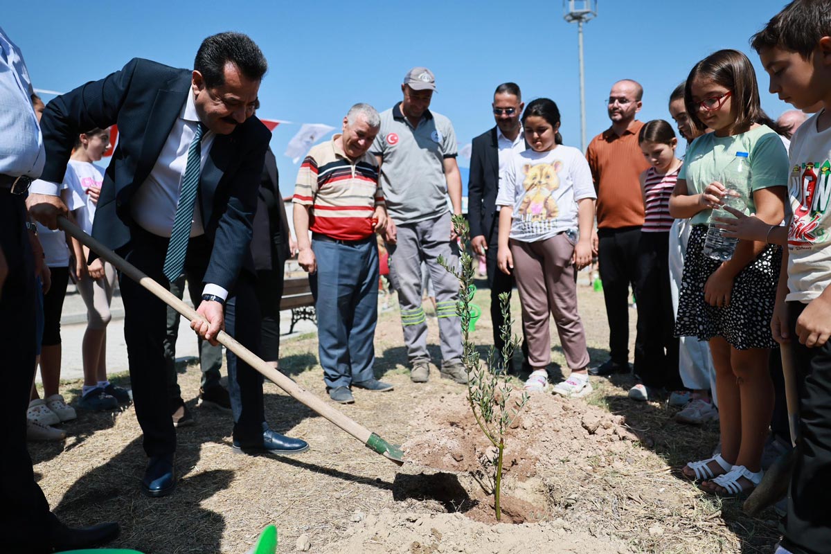 Zeytin düzenlemesinin komisyon görüşmeleri sırasında milletvekilleri arasında arbede yaşanırken, Pamukkale Belediye Başkanı Ertemur, öğrenciler ve mahallelilerle 400 zeytin fidanını toprakla buluşturdu.