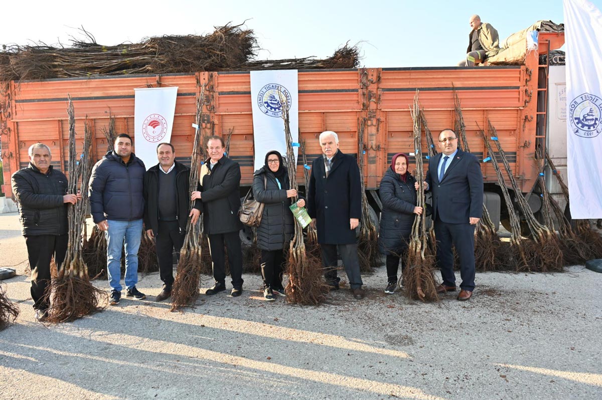 DENİZLİ CEVİZ ÜRETİMİNDE  TÜRKİYE’NİN ZİRVESİNDE