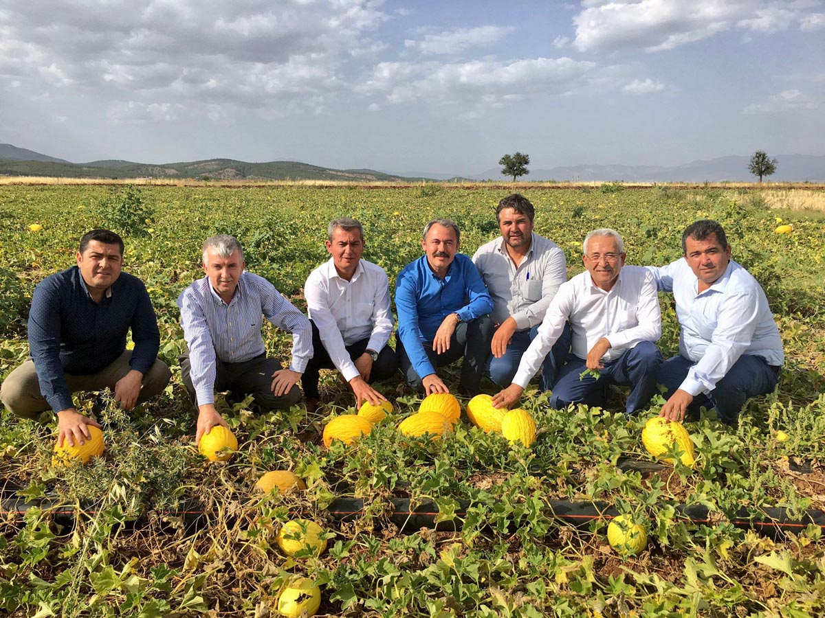 ACIPAYAM KAVUNUNA COĞRAFİ İŞARET
