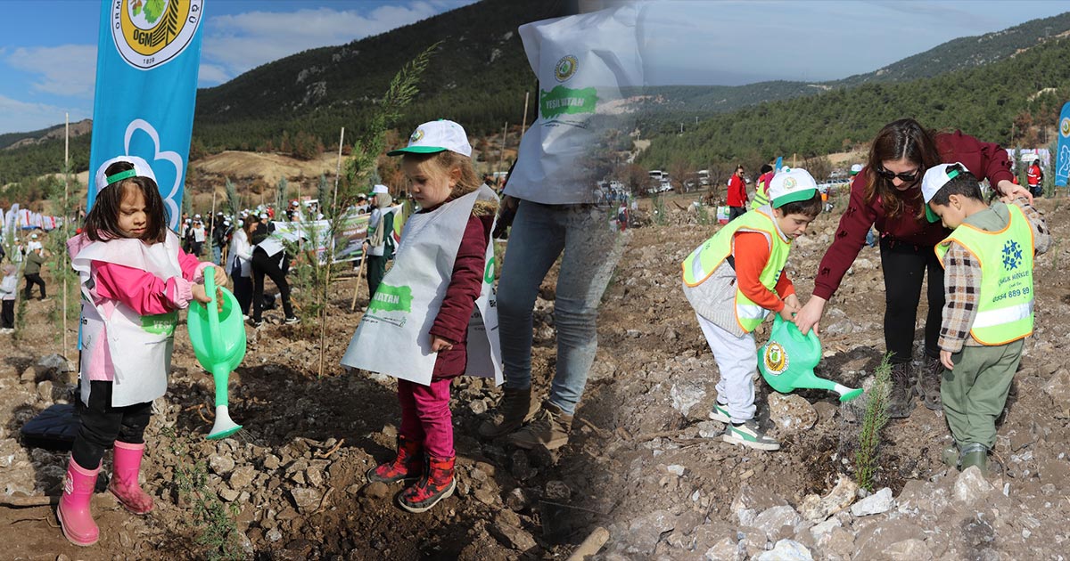 BİNLERCE FİDAN TOPRAKLA BULUŞTU