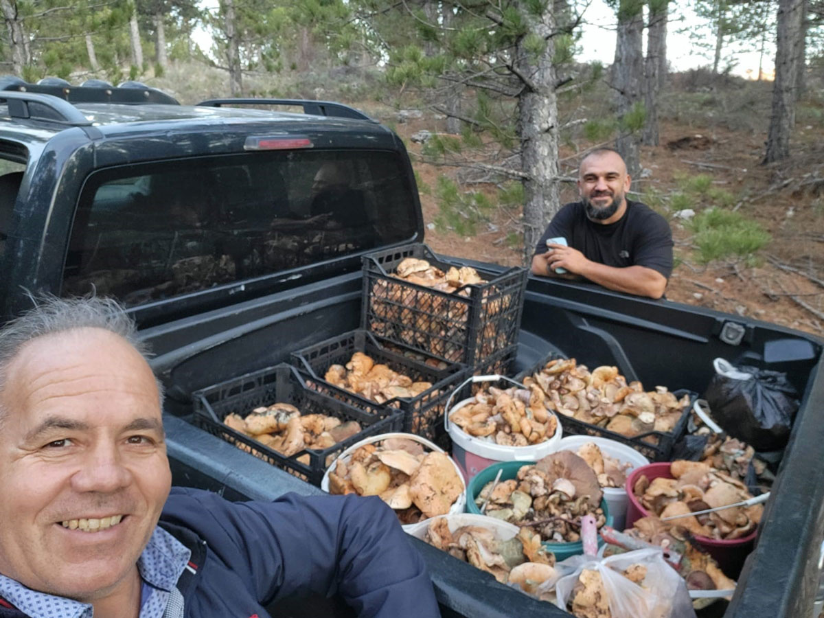 KAMYONET KASASINI ÇINTARLA DOLDURDULAR