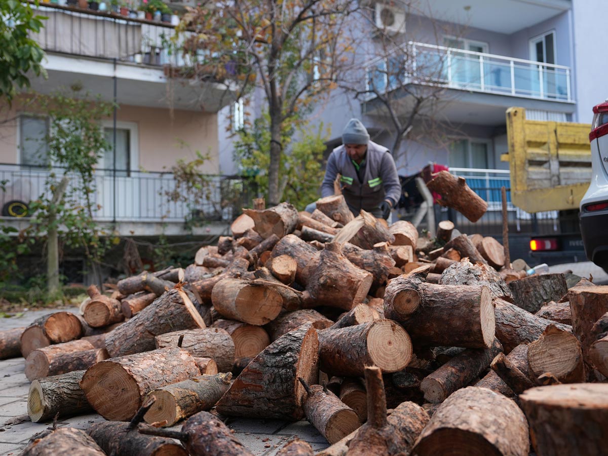 BUDANAN AĞAÇLAR VATANDAŞA YAKACAK OLUYOR