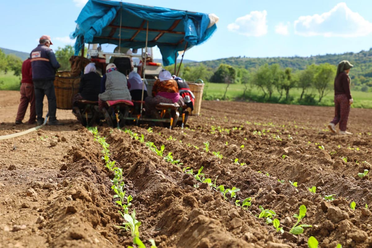'ALIM TAKVİMİ AÇIKLAYIN' ÇAĞRISI