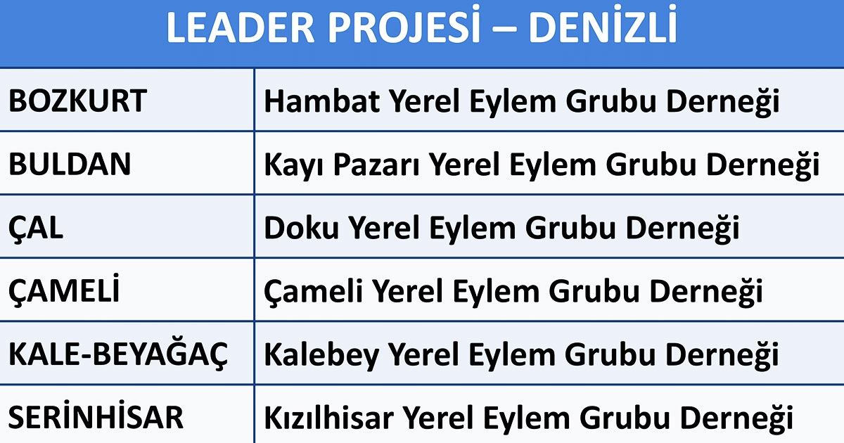 LEADER PROJESİ: DENİZLİ