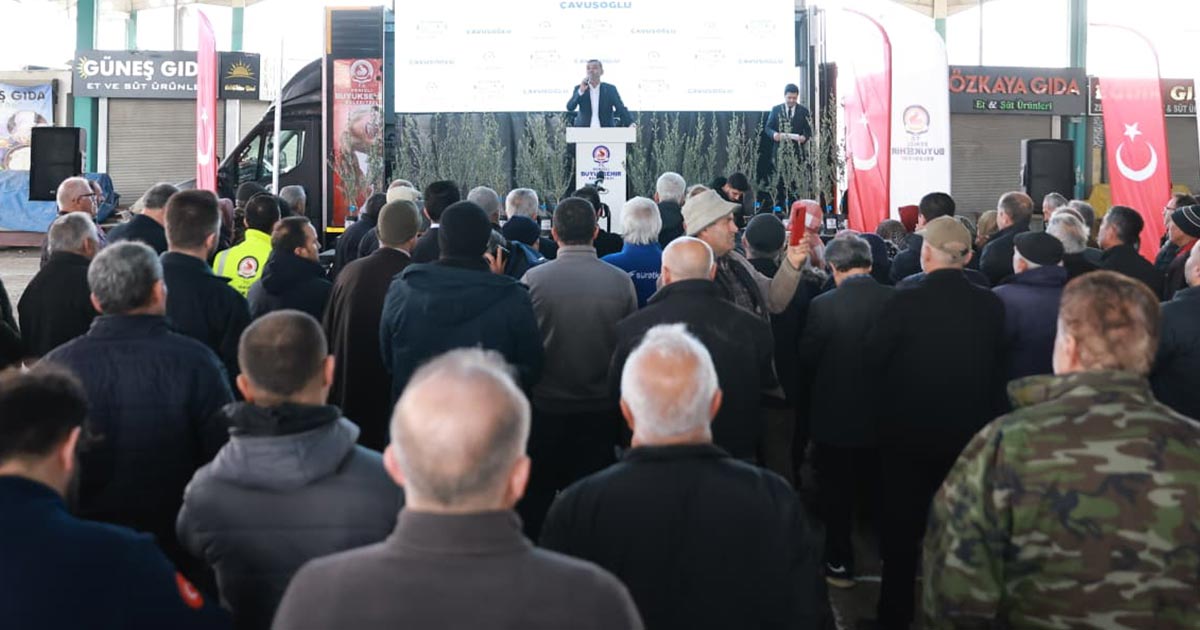 19 İLÇEDE ÇİFTÇİLERE 84 BİN ZEYTİN FİDANI DAĞITILDI