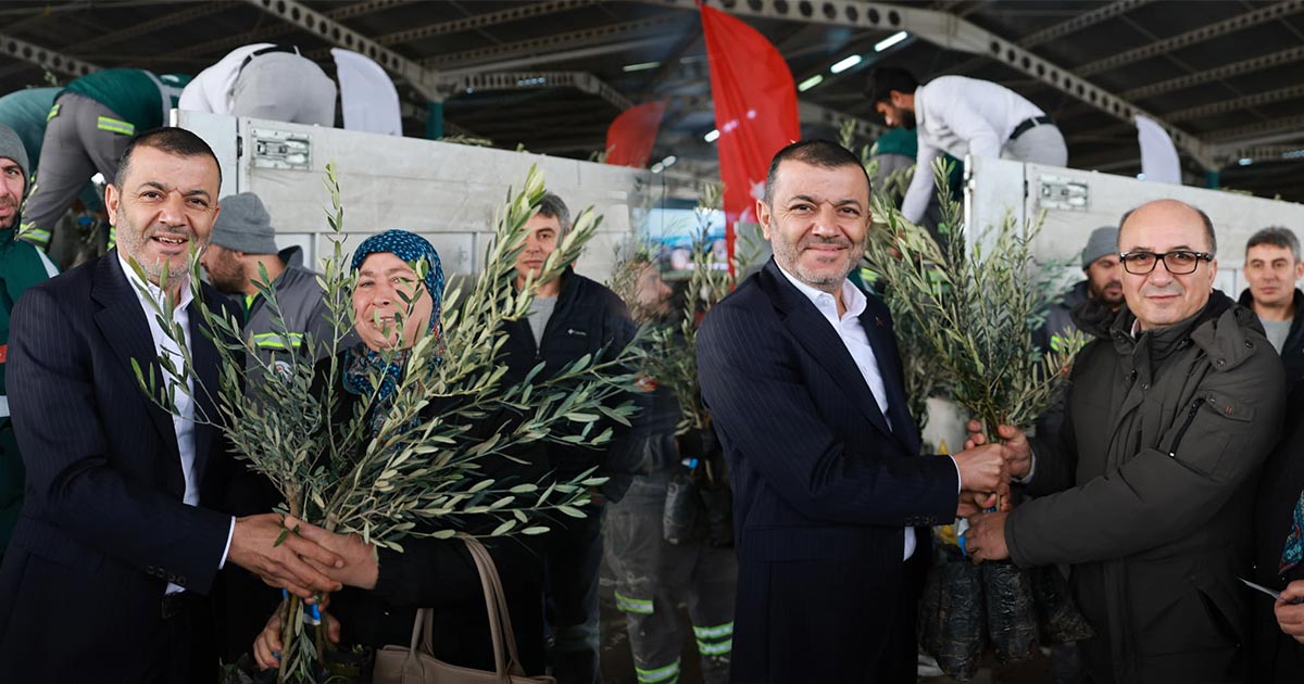 19 İLÇEDE ÇİFTÇİLERE 84 BİN ZEYTİN FİDANI DAĞITILDI