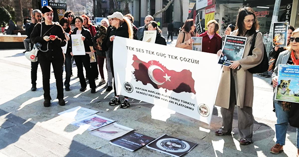 “KIYIMI DURDURUN”