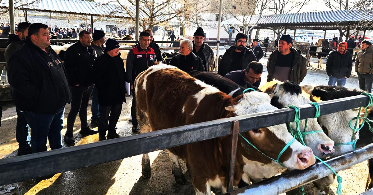 8 AY SONRA AÇILAN HAYVAN PAZARINDA İLK GÜN YOĞUNLUĞU