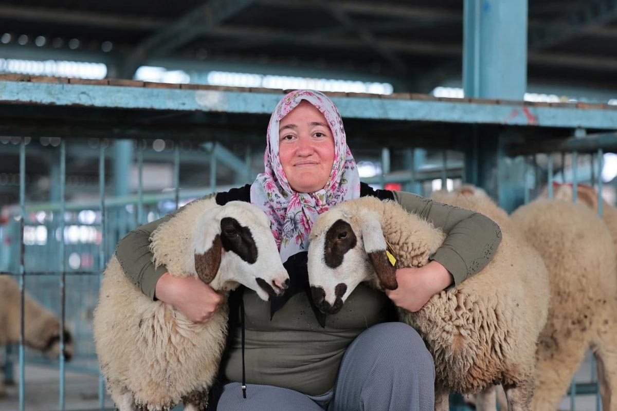 BEREKETLİ SÜRÜLER PROJESİ HAYATA GEÇTİ