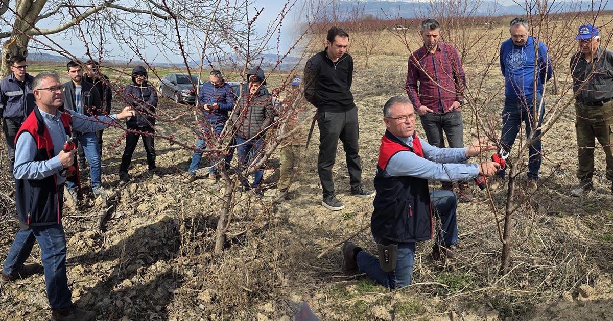 ÇİVRİL’DE BUDAMA TAVAS’TA B REÇETE EĞİTİMİ