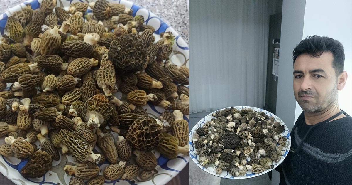 KİLOSU SERVET DEĞERİNDE