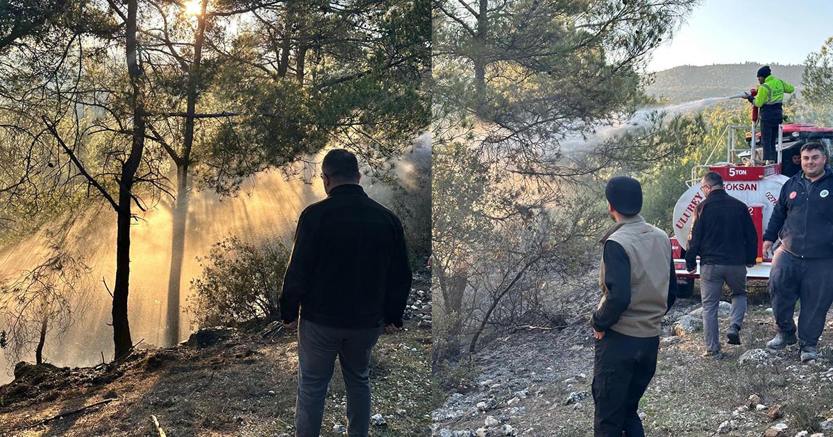 GÜNEY’DE YANGIN BÜYÜMEDEN SÖNDÜRÜLDÜ