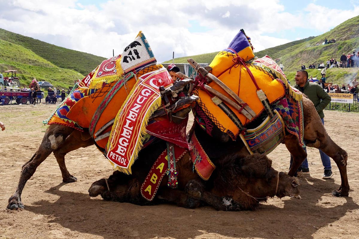 SARAYKÖY’DE BÜYÜK ŞENLİK