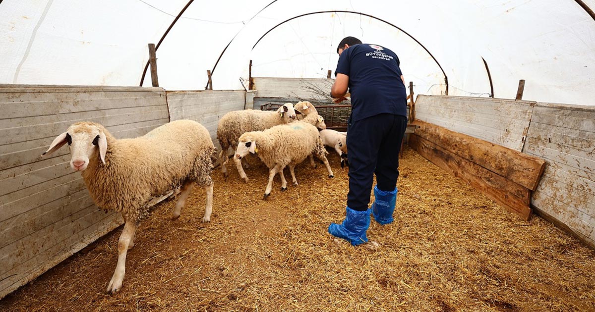 PROJENİN GELİŞİMİ YERİNDE İNCELENDİ