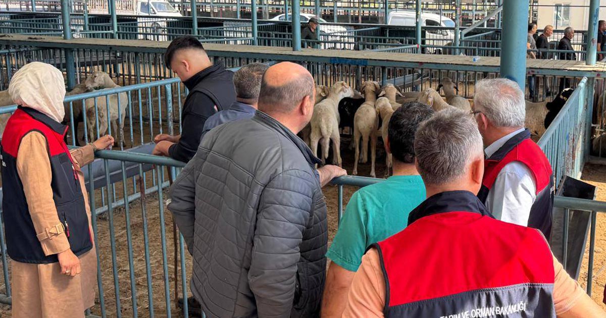 TARIM MÜDÜRLÜĞÜNDEN KURBAN ÖNCESİ SIKI DENETİM