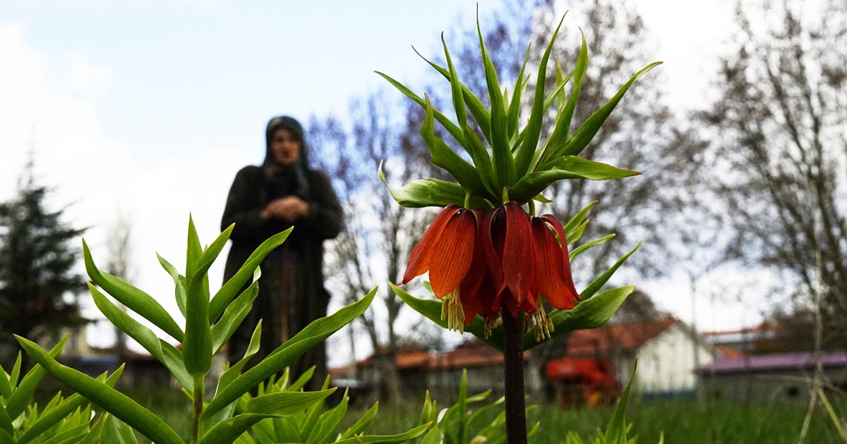 KOPARMANIN CEZASI 700 BİN TL