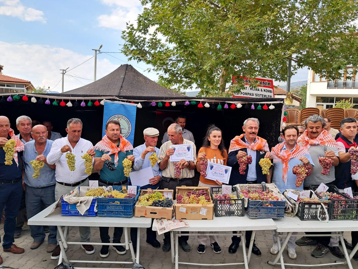 AVŞAR ÜZÜMÜ TESCİLLENDİ