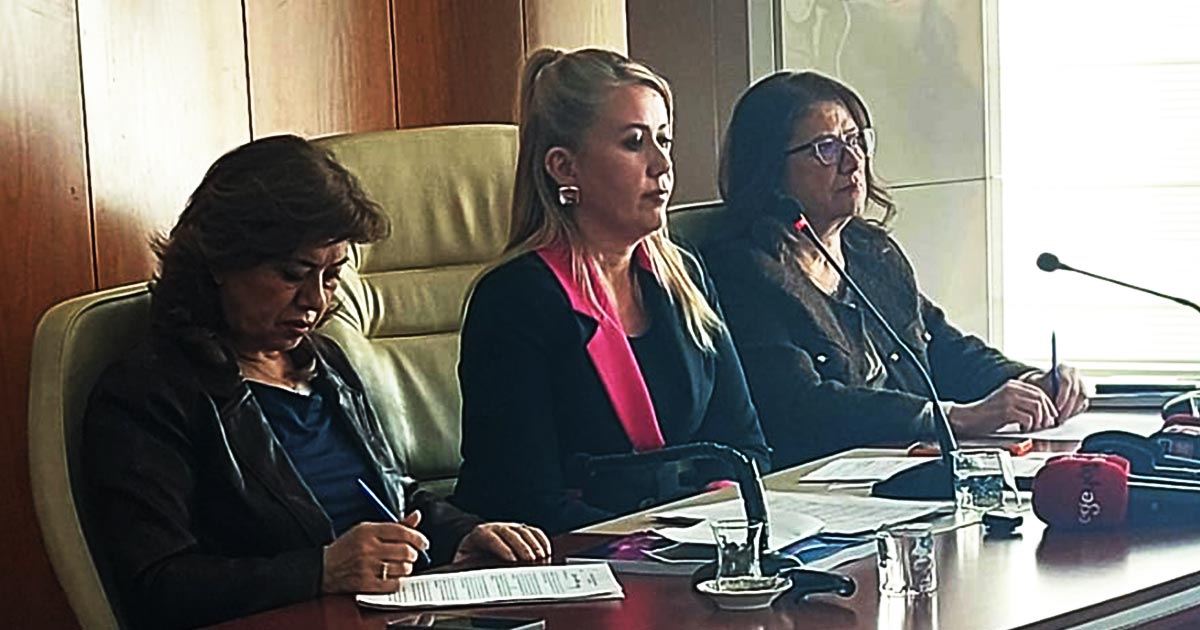 ENCÜMENDE CHP'Lİ ÜYELER 