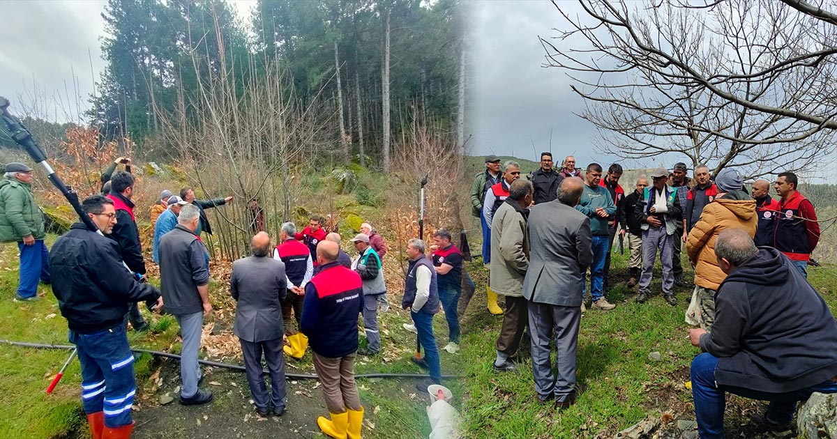 BABADAĞ’DA KESTANE ÜRETİMİNDE VERİMİ ARTIRAN EĞİTİM