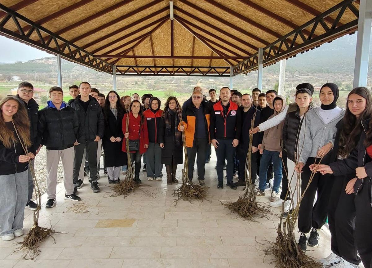 BAKLAN KESTANE YETİŞTİRECEK