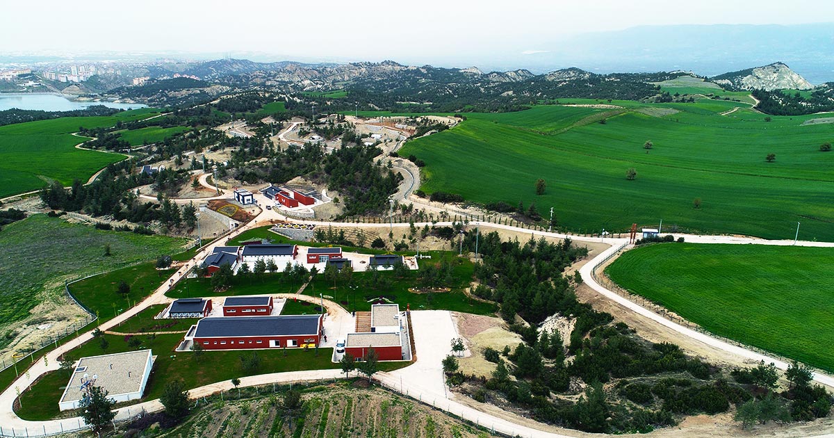 SAHİPLENDİRME ORANI ARTTI