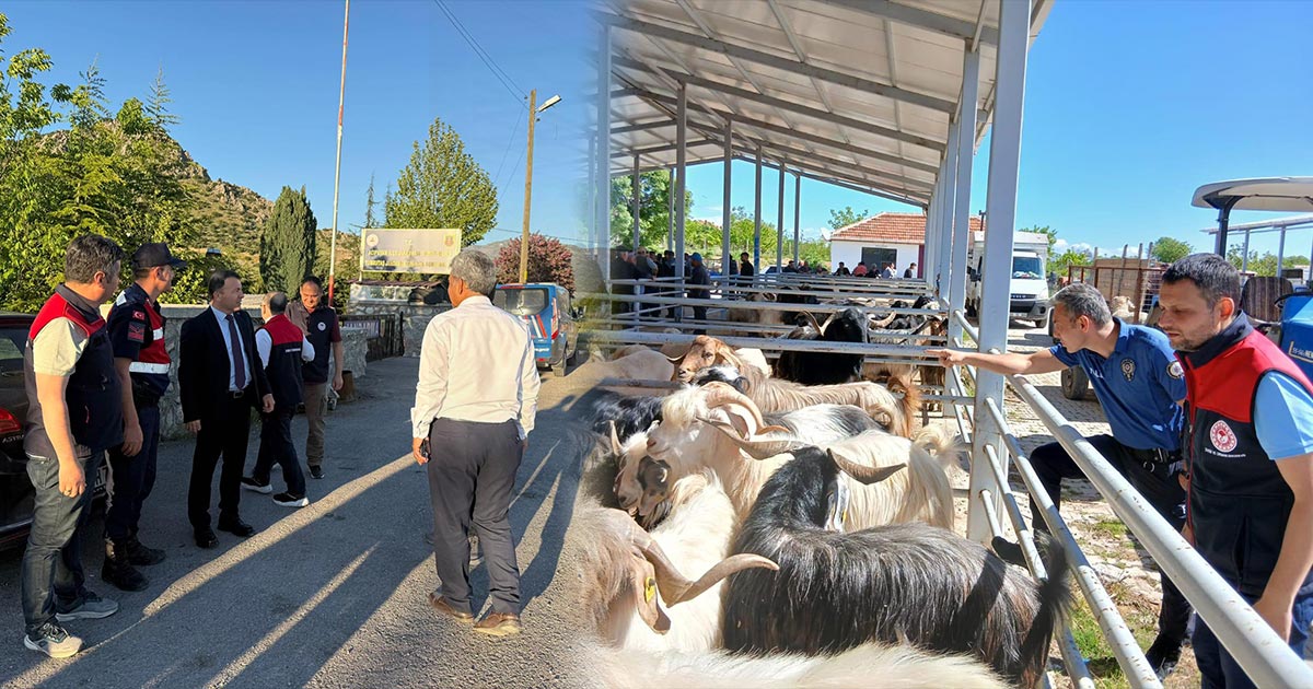 İL MÜDÜRÜ DENETİMDE