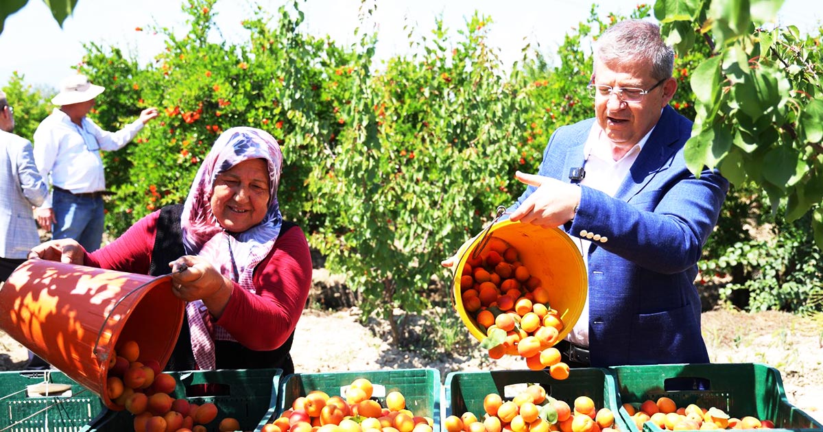 HONAZ’DA KİRAZ KOCADERE’DE KAYISI
