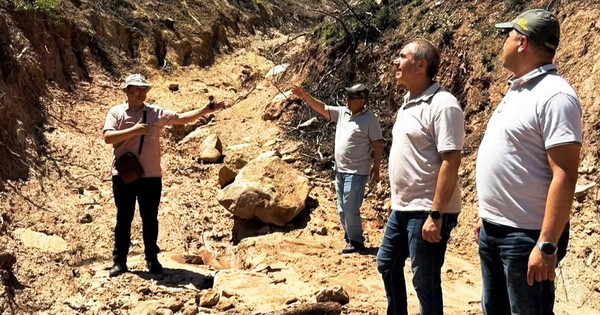 BÖLMEKAYA’DA ORMAN SEFERBERLİĞİ