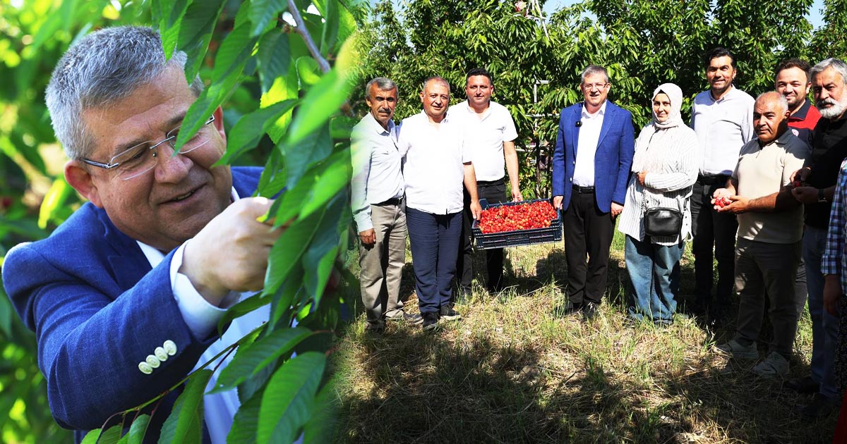 HONAZ’DA KİRAZ KOCADERE’DE KAYISI