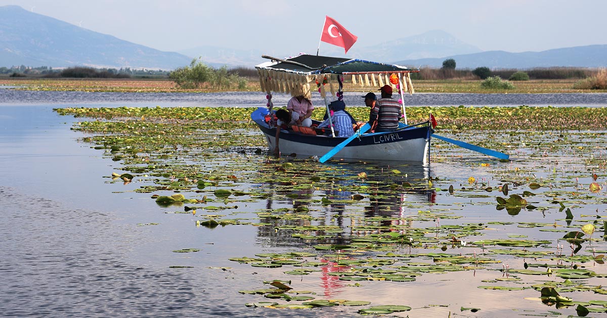 NİLÜFER ÇİÇEKLERİ AÇMAKTA GECİKTİ