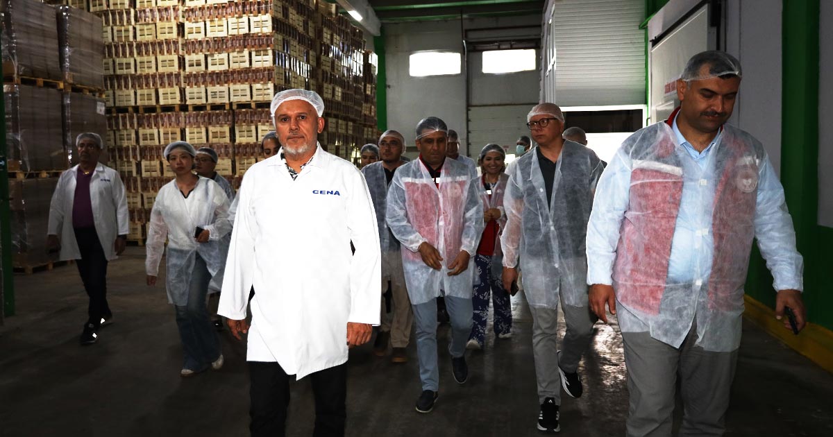 TÜRK KİRAZI ÇİN SEFERİNE ÇIKACAK
