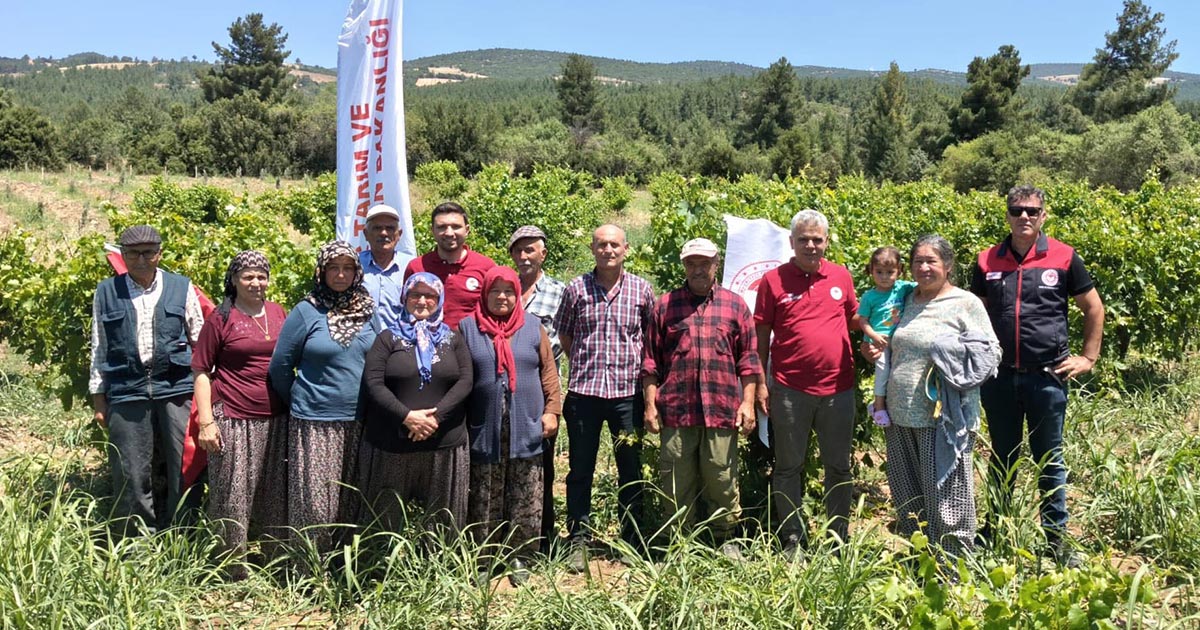 DENİZLİ'DE BAĞ ÜRETİCİLERİNE EĞİTİM, HASAT ALANLARINDA SIKI DENETİM