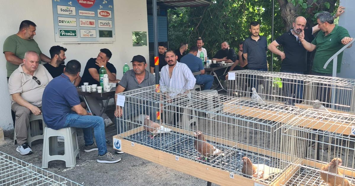 GÜVERCİN TUTKUNLARI BU YARIŞMADA BULUŞTU