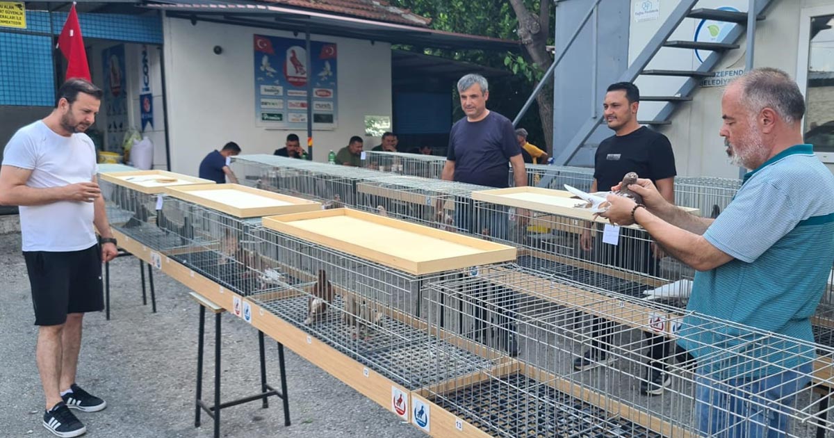 GÜVERCİN TUTKUNLARI BU YARIŞMADA BULUŞTU