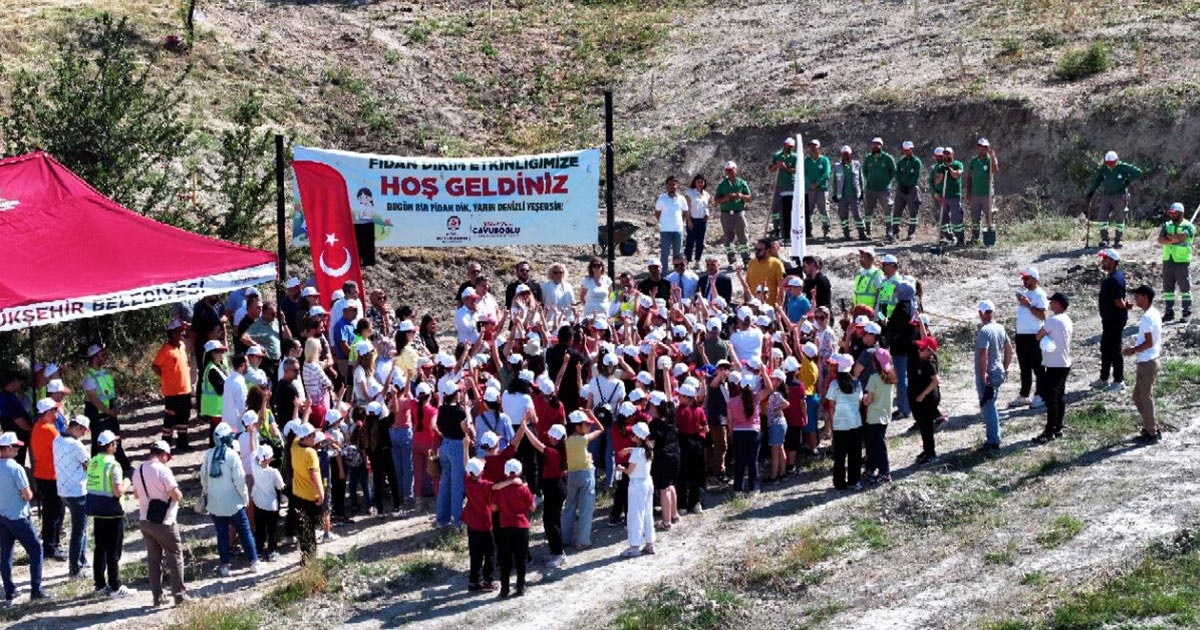 ZEYTİN FİDANLARI TOPRAKLA BULUŞTU