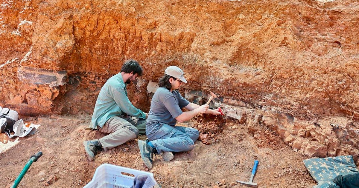 KAYACA’DA 7 MİLYON YILLIK YAŞAMIN İZLERİ GÜN YÜZÜNE ÇIKIYOR