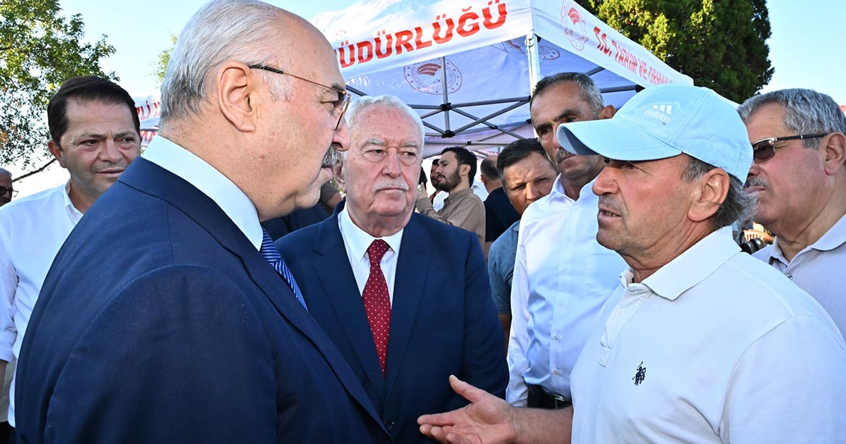 KEKİK HASADI BAŞLADI
