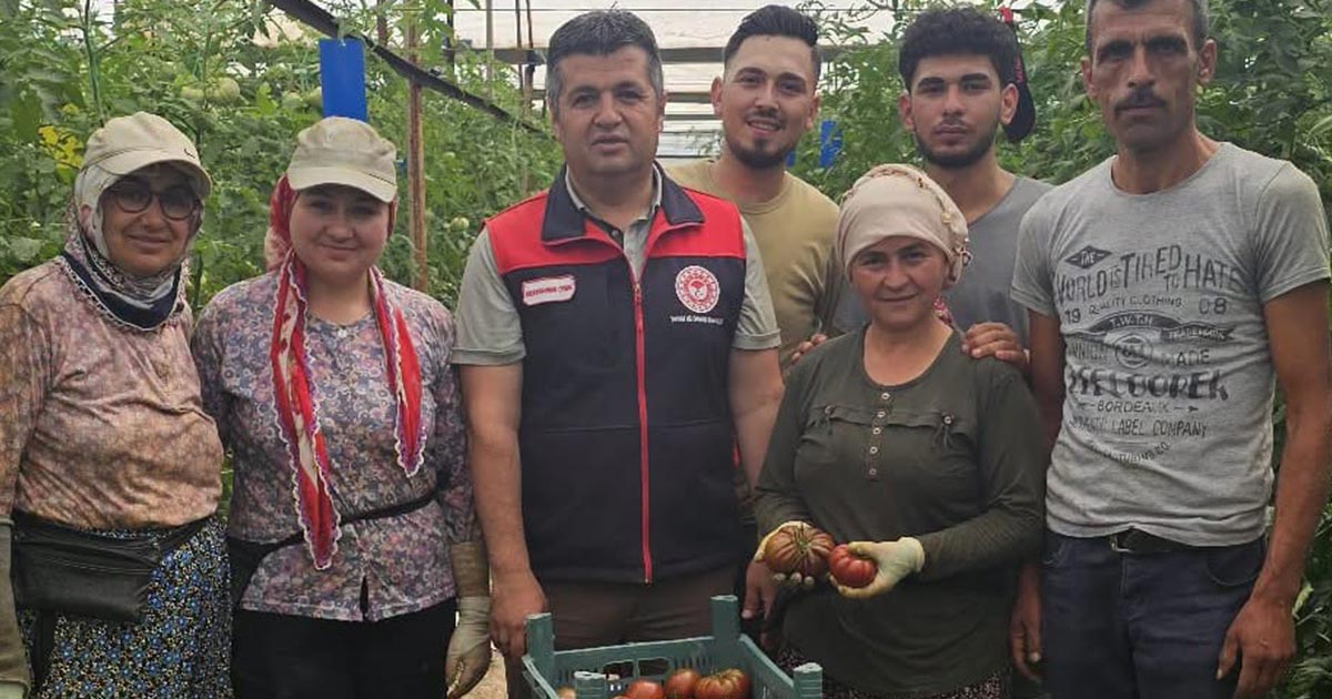 ÖRTÜ ALTI ÜRETİCİLERİNE SAHA ZİYARETİ