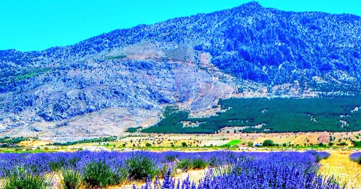 MALI DAĞI