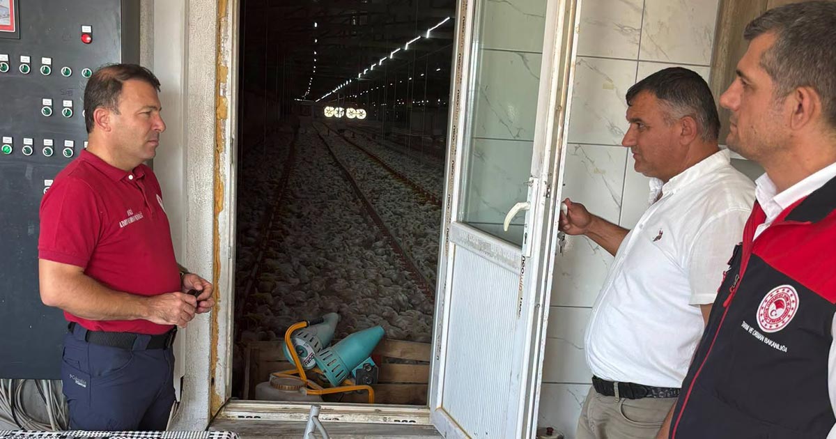 ÖZ KAYNAKLARIYLA TAVUK ÇİFTLİĞİ KURDU