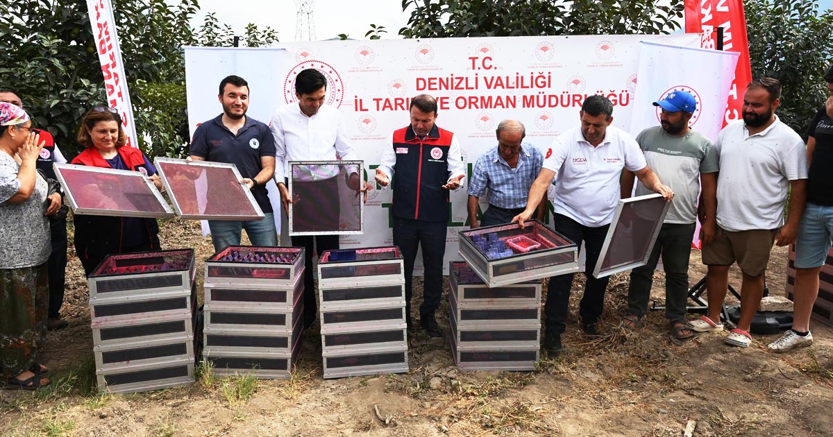 MEYVE SİNEĞİ MÜCADELESİ BAŞLADI